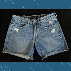 Lucky Brand Blue Distressed Jean Shorts